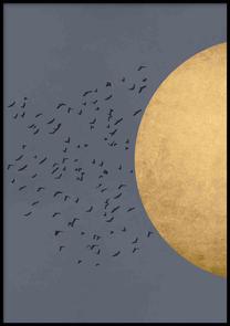 Paveikslas DecoKing Birds, 50 cm x 70 cm