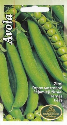 Sēklas Kurzemes sēklas, zirņi Avola, 15 g