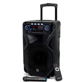 Беспроводной динамик Manta SPK5021PRO, черный цв., 80 Вт