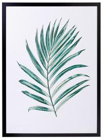 Paveikslas Palm Leaf II, 50 cm x 70 cm