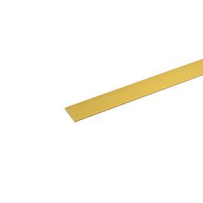 Lente Arcansas, 1000 mm x 30 mm x 2 mm