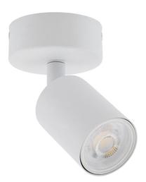 Šviestuvas lubų ir sienų TK Lighting Top, GU10, 1 x 10 W, balta sp. / balta sp.
