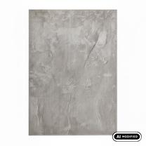 Kilimas vidaus Domoletti Australian Cashmere, pilka sp., 300 cm x 200 cm