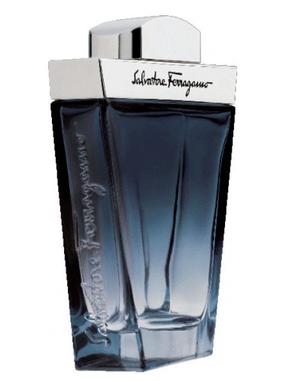 Tualettvesi Salvatore Ferragamo Subtil Pour Homme, 100 ml