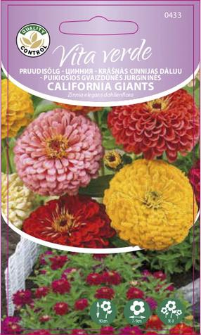Seemned Vita Verde pruudisõlg California Giants Zinnia Elegans Dahlienflora