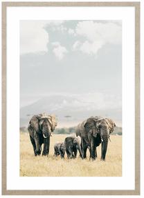 Foto paveikslas Elephant Travel, 53 cm x 73 cm