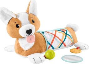 Veiklos pagalvėlė Fisher Price Puppy Tummy Wedge HJW10, 43.2 cm x 20 cm, įvairių spalvų