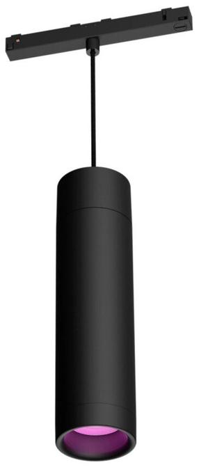 Išmanusis šviestuvas bėginei sistemai Philips Hue Perifo, LED, 2000 - 6500 °K, 1 x 5.2 W, juoda sp. / juoda sp.