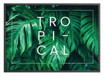 Paveikslas DecoKing Monstera, 50 cm x 40 cm