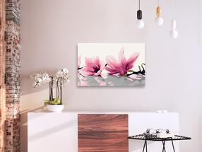 Tapymas pagal skaičius Artgeist Magnolia (White Background) MA_0110, įvairių spalvų, 60 x 40 cm