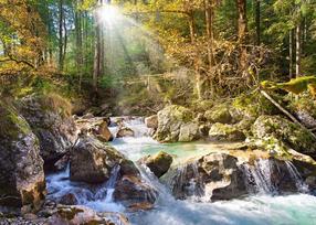 Dėlionė Castorland Sunny forest stream 2000 el. C-200382-2, 92 cm x 68 cm, 2000 vnt., įvairių spalvų