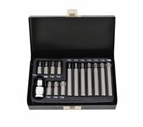 Antgalių rinkinys AWTools T20-T55