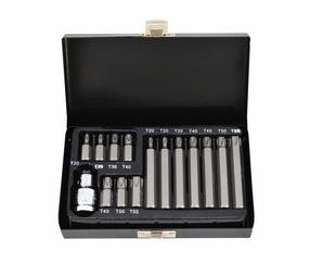 Antgalių rinkinys AWTools T20-T55