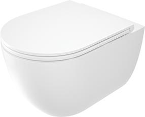 WC-pott, seinapealne Deante, kaanega, 362 mm x 526 mm