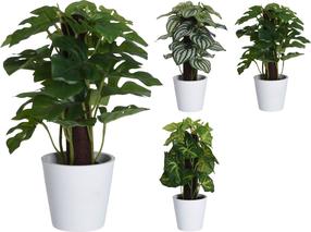 Mākslīgais augs podiņā Atmosphera, zaļa krās./(krāsa/dizains tiek izvēlēts nejauši), 25 cm