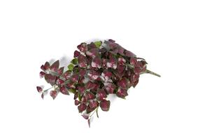 Mākslīgais augs, efeja Domoletti, zaļa krās., 80 cm