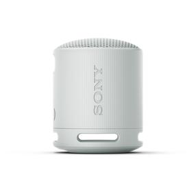Belaidė kolonėlė Sony SRS-XB100, pilka sp., 5 W