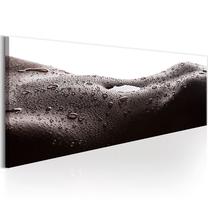 Reprodukcija Artgeist Erotic Landscape N4558PWD, 120 cm x 40 cm