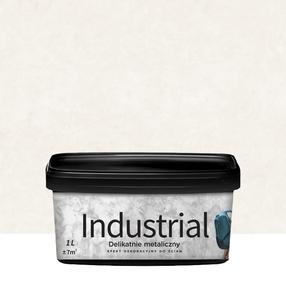 Dekoratiivkrohv, seinale Jeger Industrial Iryd, iryd v., 1 l