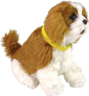 Mänguloom Lean Toys Dog Cavalier 12702, 19 cm, pruun v./valge v.