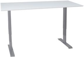 Rašomasis stalas reguliuojamo aukščio Home4you Ergo 2 10660, baltas/pilkas