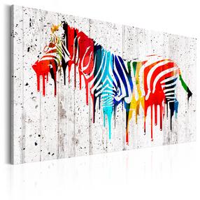Reprodukcija Artgeist Colourful Zebra MDF02, 30 cm x 20 cm