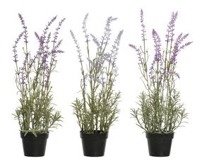 Dirbtinė gėlė, levanda, violetinė sp./įvairių spalvų, 46 cm