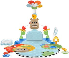 Aktyvumo centras Mattel Fisher Price Kick & Sway HYR60, 96 cm x 74 cm, įvairių spalvų