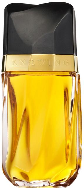 Parfüümvesi Estee Lauder Knowing Women, 75 ml