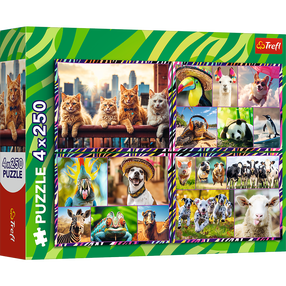 Пазл 4in1 Trefl Funny Animals 13313, 18 см x 27.5 см, 1000 шт., многоцветный