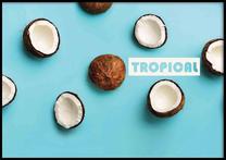 Paveikslas DecoKing Coconuts, 50 cm x 40 cm