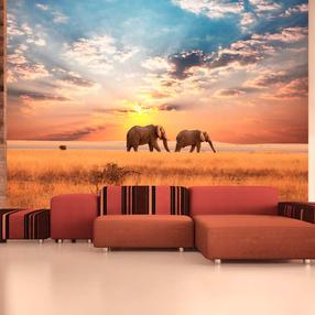 Fototapete Artgeist African savanna elephants, 193 cm x 245 cm
