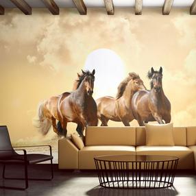 Fototapete Artgeist Running Horses FTNT0976, 270 cm x 350 cm