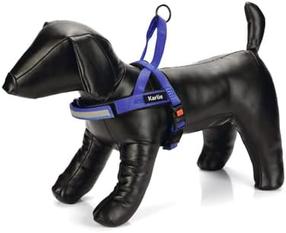 Regulējamas krūšu siksnas Beeztees Harness, zila krās., 720 - 900 mm x 25 mm, 72-90