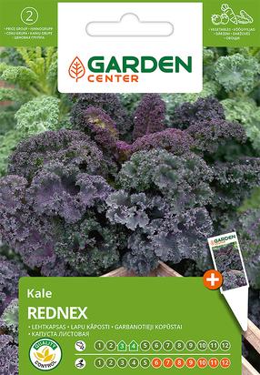 Seemned Garden Center, kaali kapsas REDNEX, 1 g