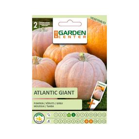 Seemned Garden Center, kõrvits Atlantic Giant, 2 g