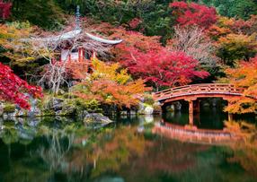 Puzle Ravensburger Ogród Daigo-Ji, Kyoto, Japonia, 70 cm x 50 cm, 1000 gab.
