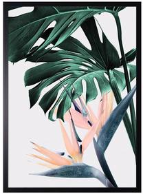 Foto paveikslas Monstera and Strelitzia No.1, 50 cm x 70 cm