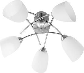 Šviestuvas lubų ActiveJet Nikita 5P Nickel, E27, 5 x 40 W, balta sp. / sidabro sp.