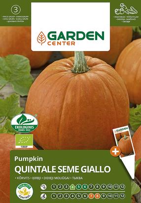 Sēklas Garden Center, ķirbis QUINTALE SEME GIALLO, 2 g