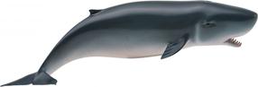 Žaislinė figūrėlė Collecta Pygmy Sperm Whale 88653, 15.2 cm, mėlyna sp.