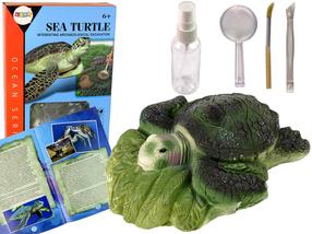 Rakšanas komplekts, bruņurupucis Lean Toys Ocean Series, zaļa krās.