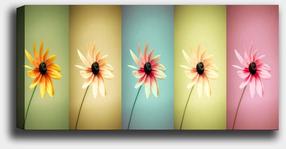 Reprodukcija Wallity, 451ern1538, 120 cm x 50 cm