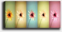 Reprodukcija Wallity, 451ern1538, 120 cm x 50 cm