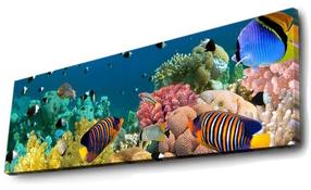 Reprodukcija Wallity 3090DACT-13, 0.3 cm x 30 cm