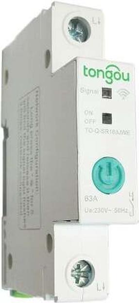 Kaitse Sonoff HS081973 Smart Switch 1-Channel, 100 - 230 V