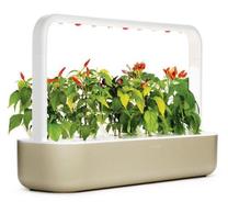  Prekė su pažeista pakuote. Išmanioji daigykla Click & Grow Smart Home Garden 9, šviesiai ruda sp.
