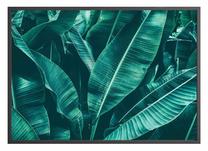 Paveikslas DecoKing Attalea, 50 cm x 40 cm
