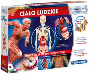 Žmogaus kūnas Clementoni Science Fun Human Body, mėlyna sp./balta sp./raudona sp.
