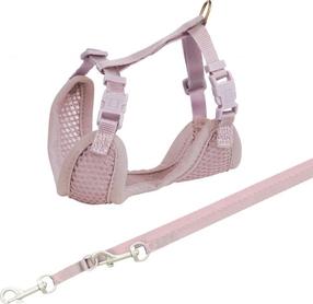 Petnešos šunims Trixie Junior Puppy, violetinė sp., 260 - 340 mm x 10 mm, S-M